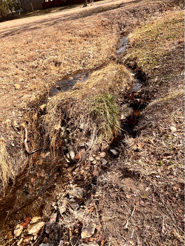 Creek where Shelldon came from