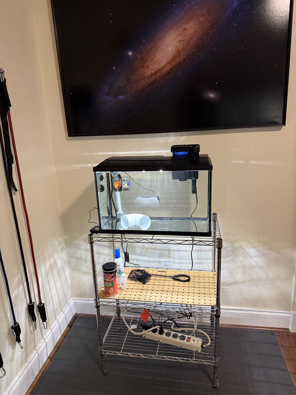 Tank setup with PVC shelter